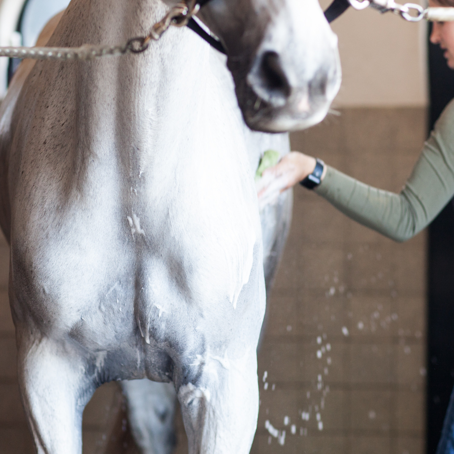 Hoe vaak was jij je paard?